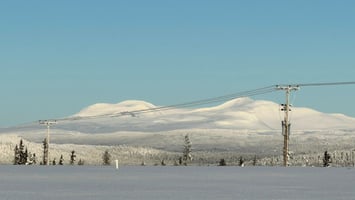 Varför blev elpriserna så höga i januari?