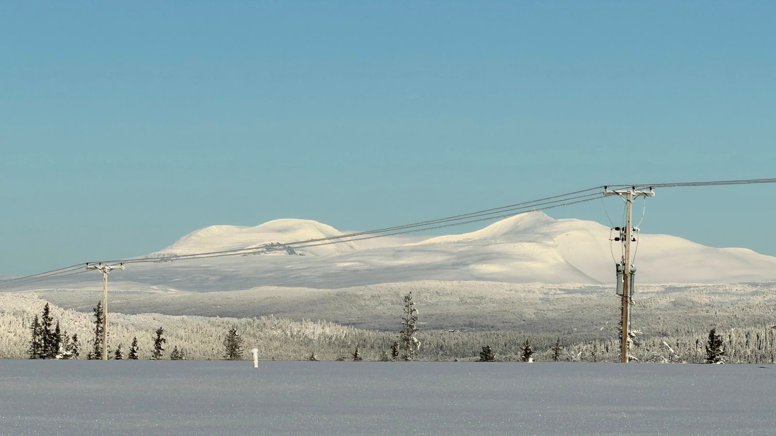 Varför blev elpriserna så höga i januari?